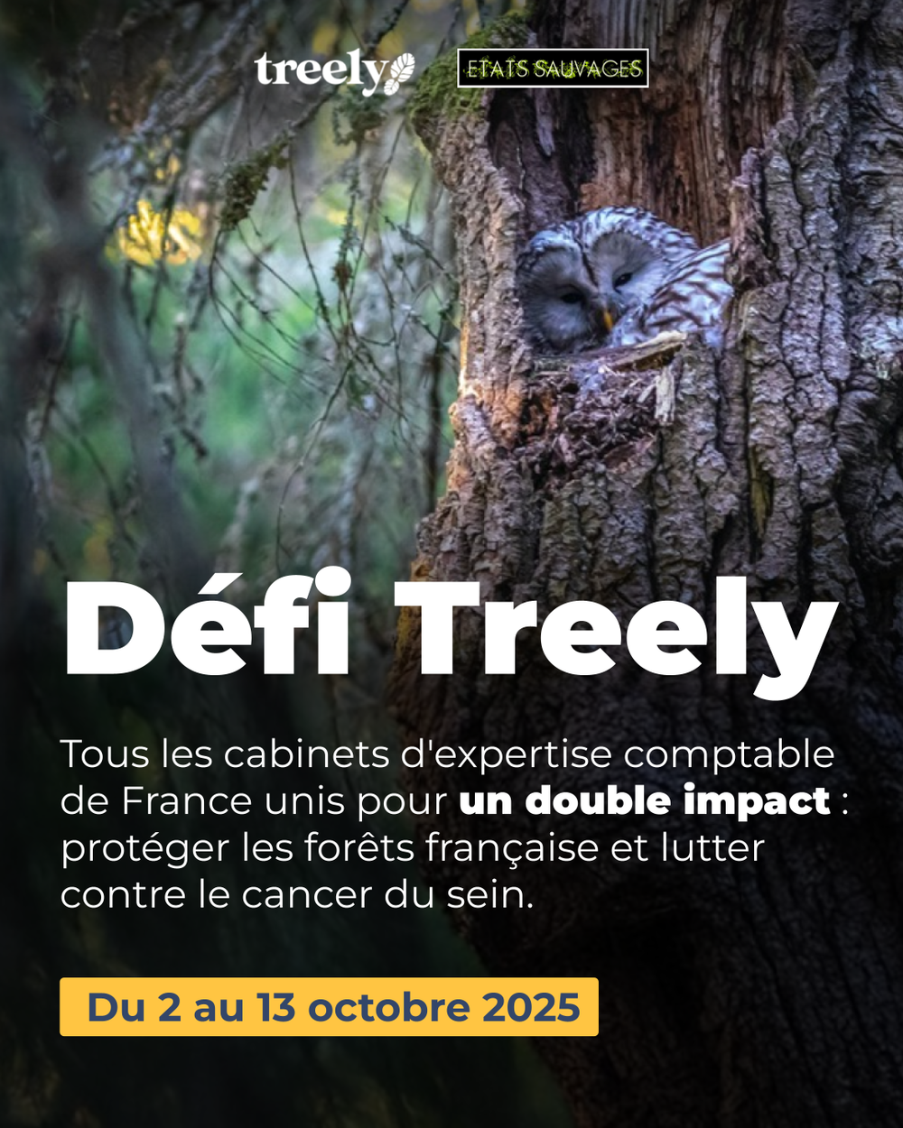 défi trelly