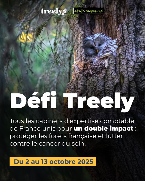 défi trelly